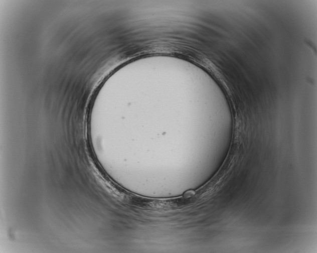 X0000102760795200809080940