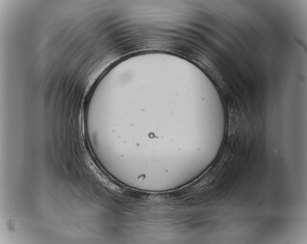 X0000102760796200809080940