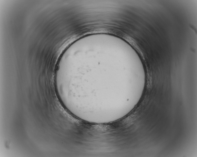 X0000102760805200809080940