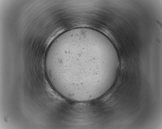 X0000102760806200809080940