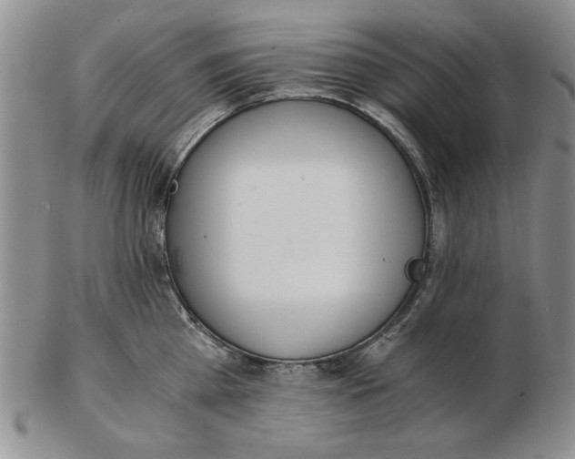 X0000102760809200809080940