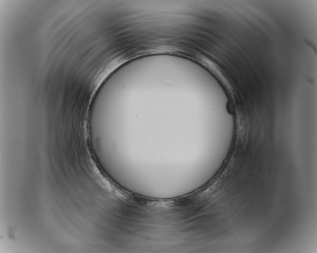 X0000102760810200809080940