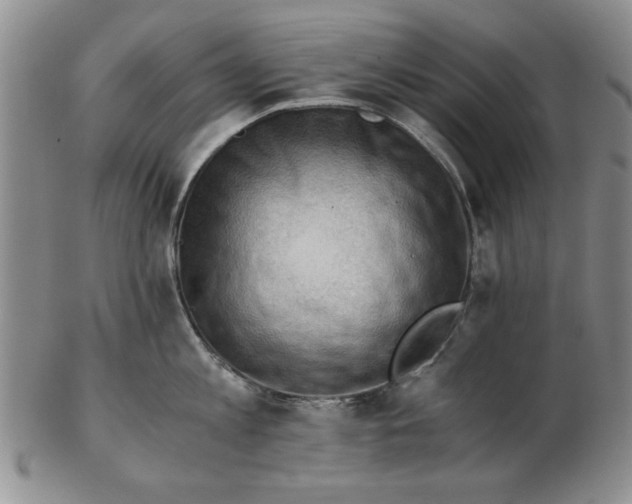 X0000102760813200809080940