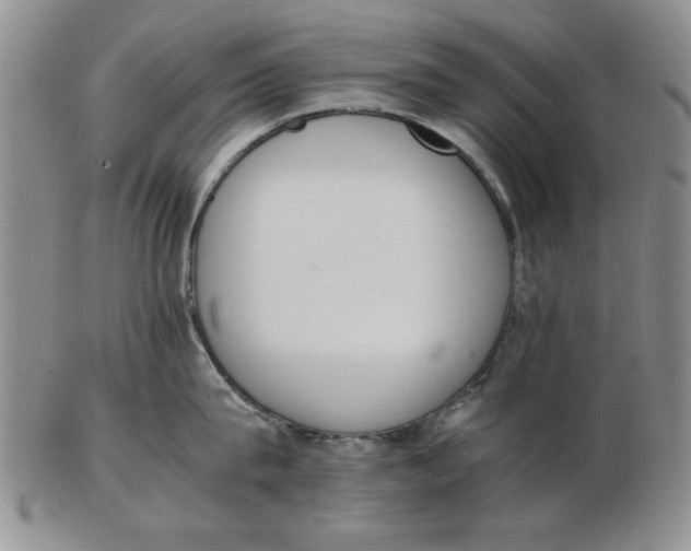 X0000102760815200809080940