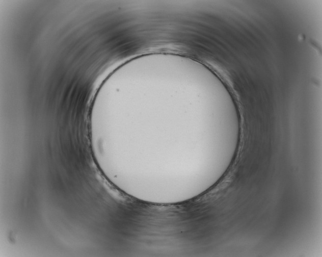 X0000102760816200809080940