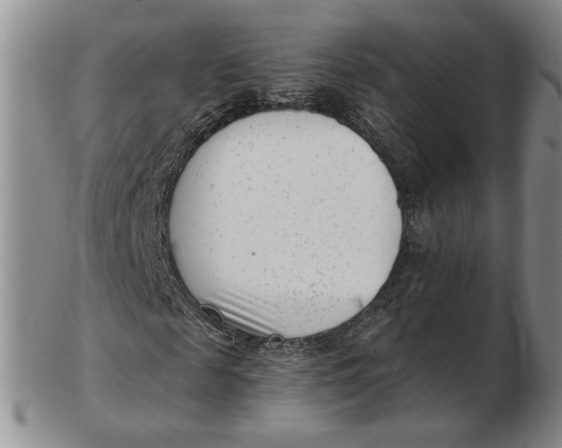 X0000102760817200809080939