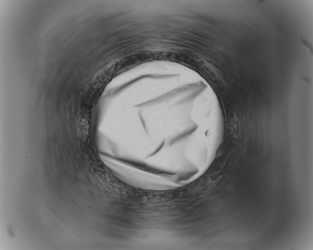 X0000102760821200809080939