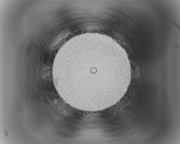 X0000102760824200809080939