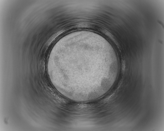 X0000102760829200809080939