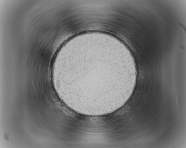 X0000102760832200809080939