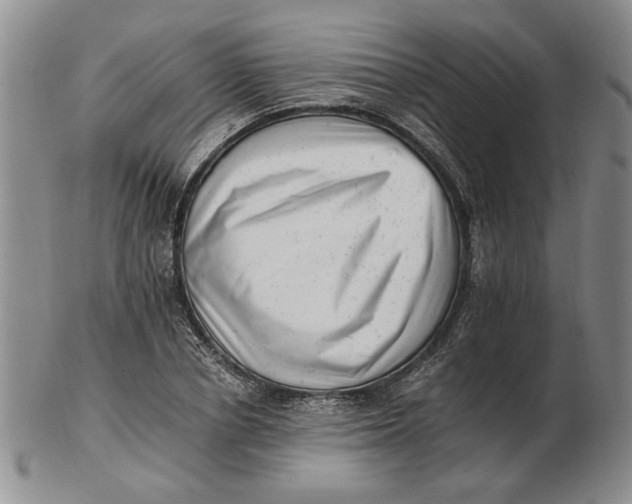 X0000102760834200809080939