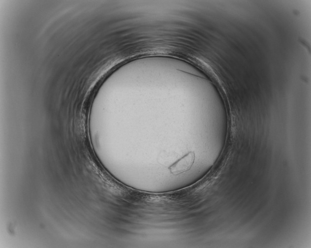 X0000102760835200809080939