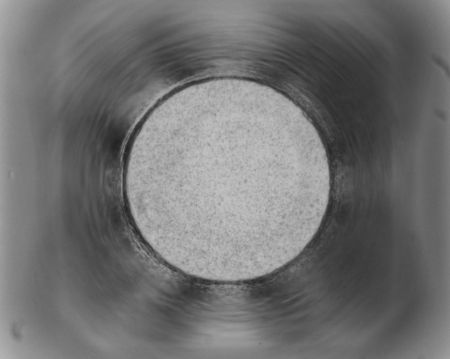 X0000102760836200809080939