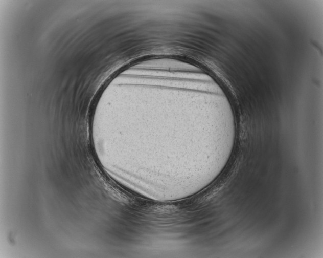 X0000102760837200809080939