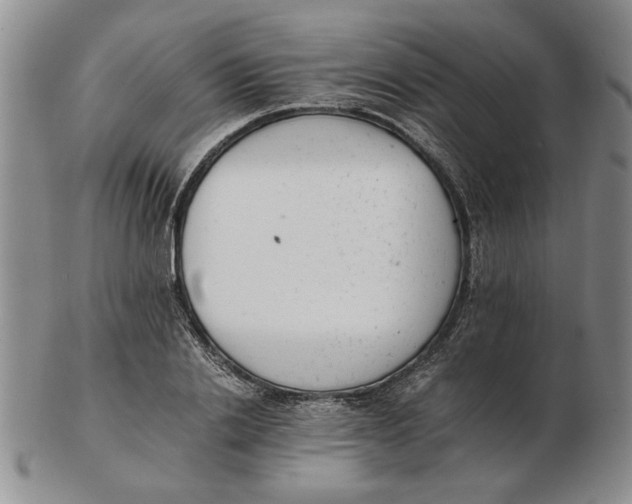 X0000102760838200809080939