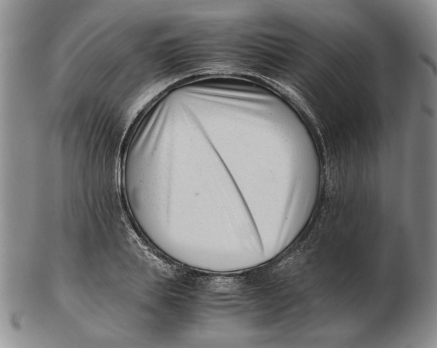 X0000102760839200809080939