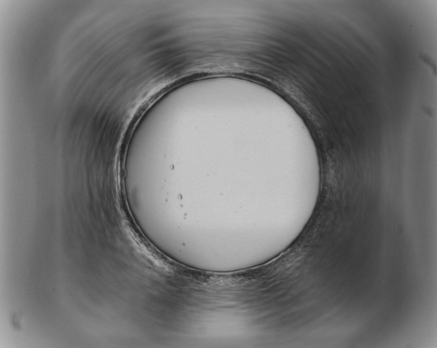 X0000102760840200809080939