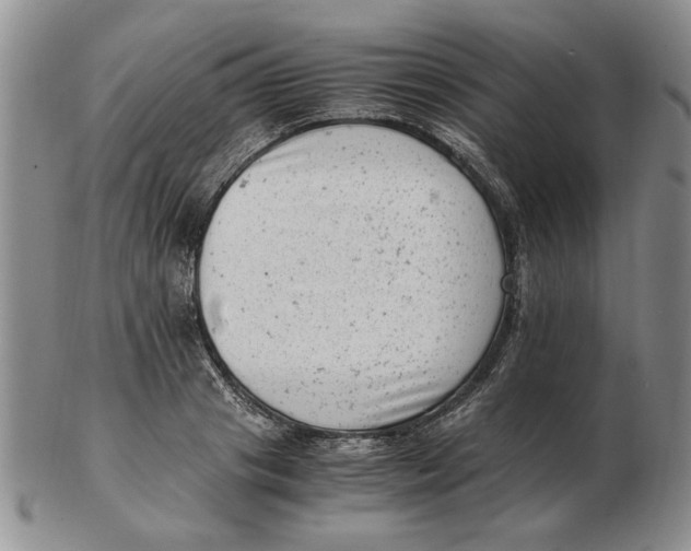 X0000102760841200809080939