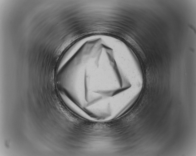 X0000102760842200809080939