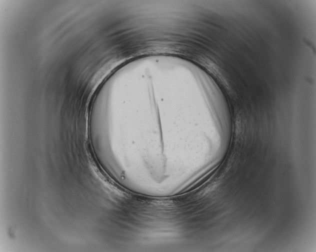 X0000102760844200809080939