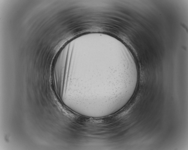 X0000102760845200809080939