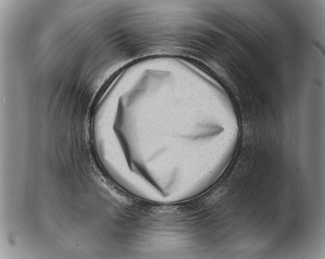 X0000102760846200809080939