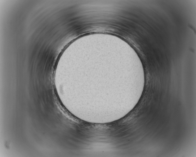 X0000102760848200809080939