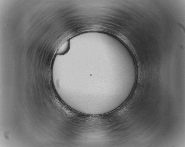 X0000102760850200809080939