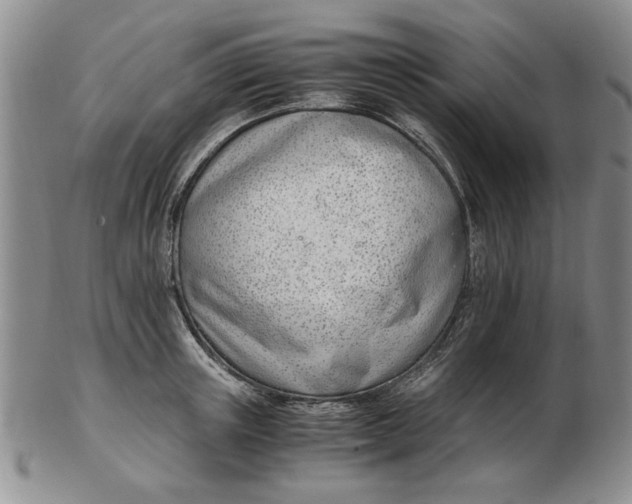 X0000102760851200809080939