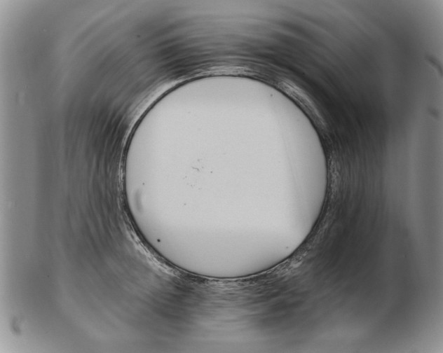 X0000102760852200809080939