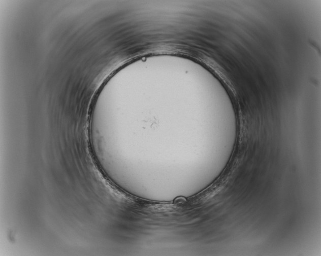 X0000102760853200809080939