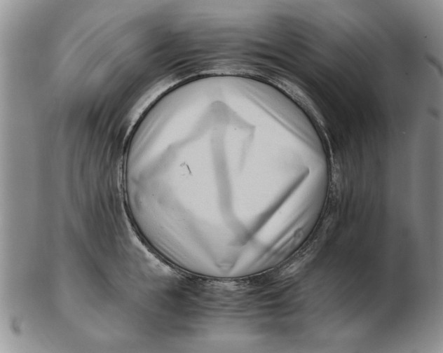 X0000102760855200809080939