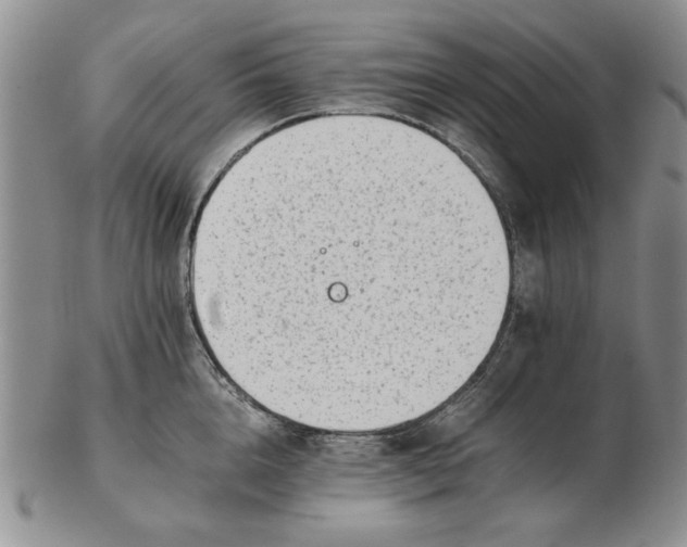 X0000102760856200809080939