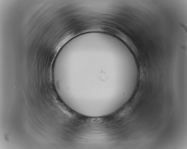 X0000102760858200809080939