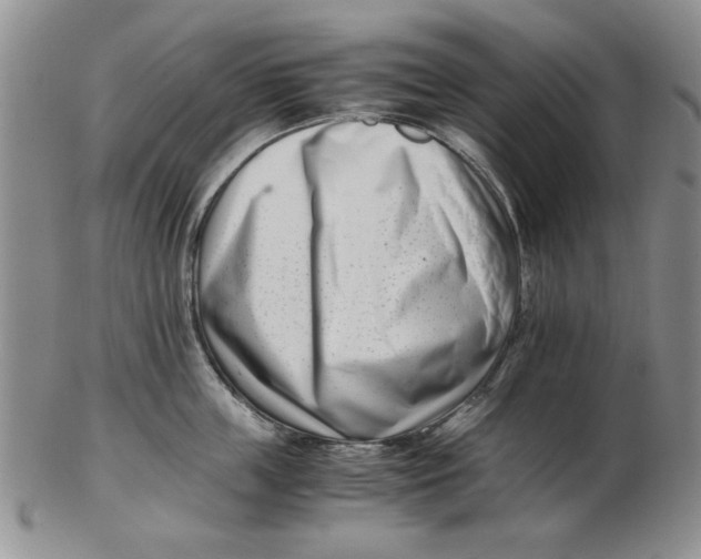 X0000102760859200809080939