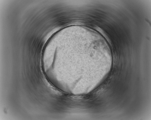 X0000102760861200809080940