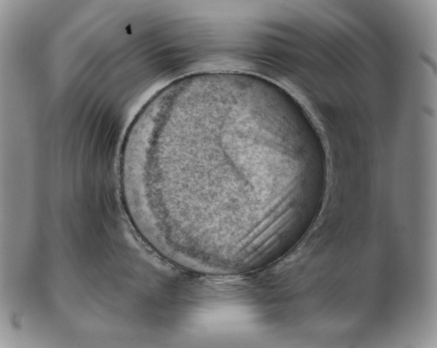 X0000102760864200809080940