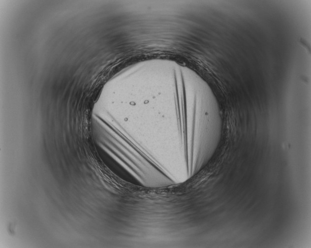 X0000102760868200809080939