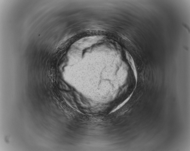 X0000102760870200809080939