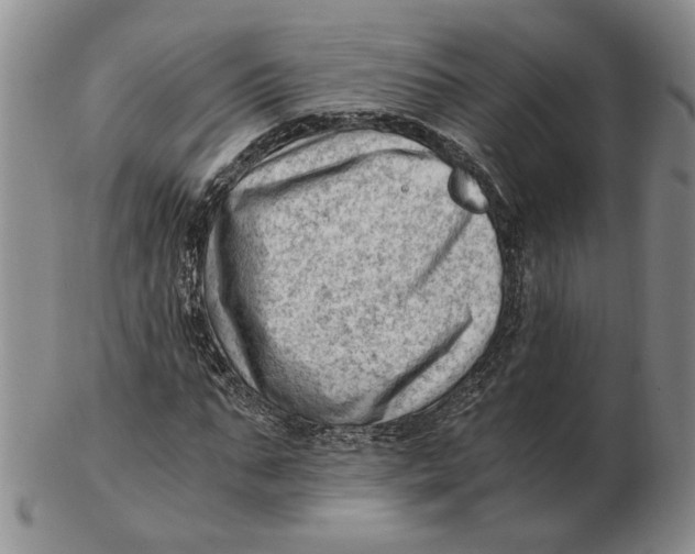 X0000102760871200809080939