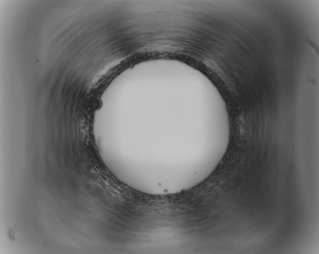 X0000102760872200809080939