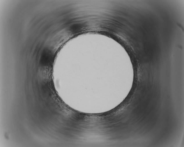 X0000102760873200809080939