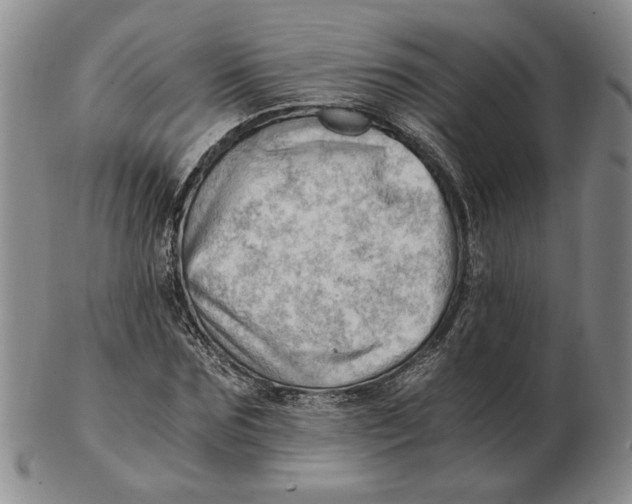 X0000102760875200809080939