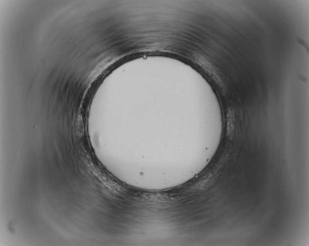 X0000102760876200809080939