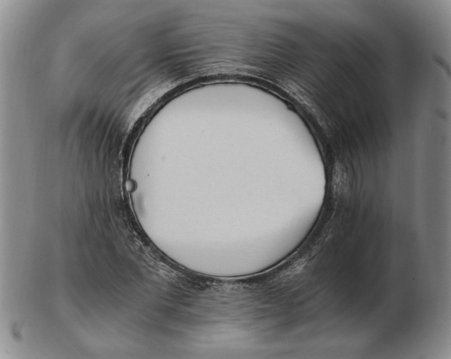 X0000102760877200809080939