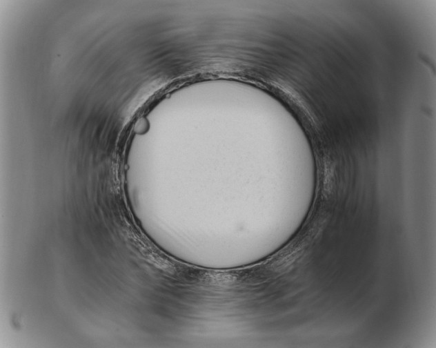 X0000102760878200809080939