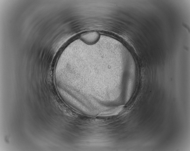 X0000102760879200809080939