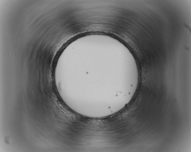 X0000102760880200809080939