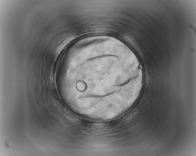 X0000102760883200809080939