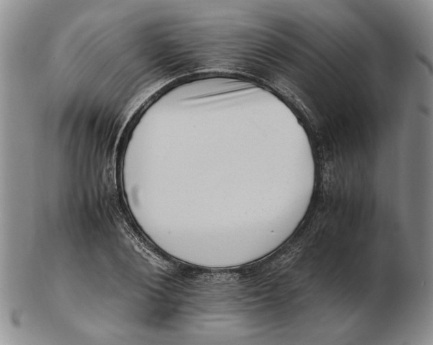 X0000102760884200809080939